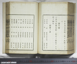 明い097000700010.jpg