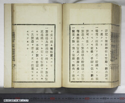 明い097000770002.jpg