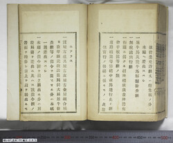 明い097000830005.jpg