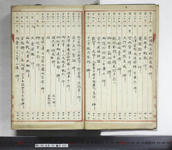 明い099000000005.jpg