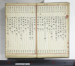 明い099000000008.jpg
