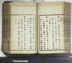 明い099000610003.jpg
