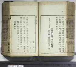 明い099000670002.jpg