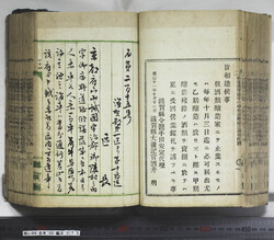明い099000730002.jpg