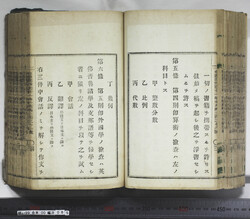明い099000850004.jpg