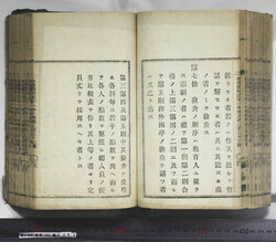 明い099000850005.jpg