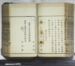 明い099000850009.jpg
