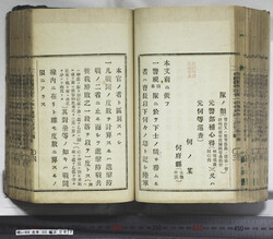 明い099000870004.jpg