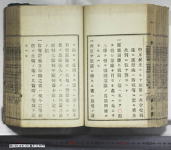 明い099000870005.jpg