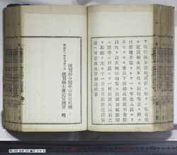明い099000880002.jpg