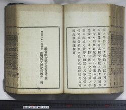 明い099000980002.jpg