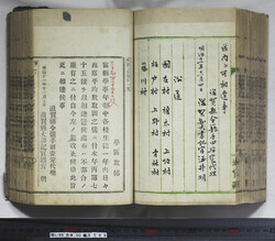 明い099000990002.jpg
