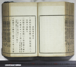 明い099001030002.jpg