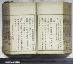 明い099001030004.jpg