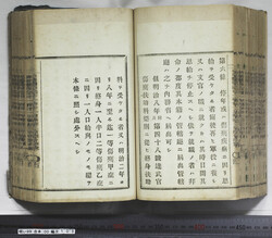 明い099001030005.jpg