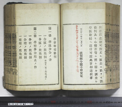 明い099001040002.jpg