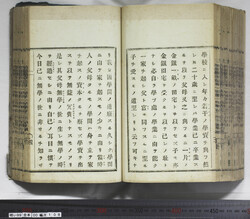 明い099001080016.jpg