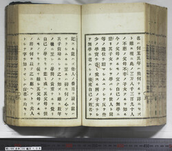 明い099001080018.jpg