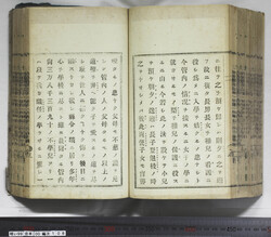 明い099001080021.jpg