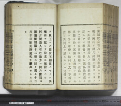 明い099001190002.jpg