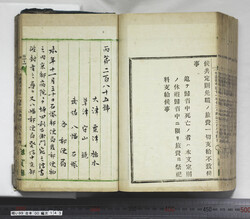 明い099001430002.jpg