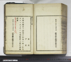 明い099001450002.jpg