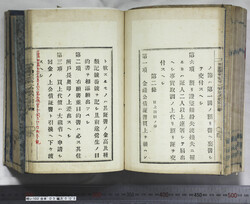 明い102030030005.jpg
