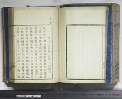 明い102040010003.jpg