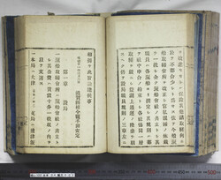 明い102040020010.jpg