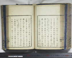 明い102040040025.jpg