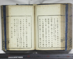 明い102040040028.jpg