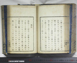 明い102040040036.jpg