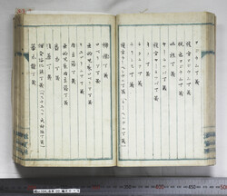 明い104000150008.jpg