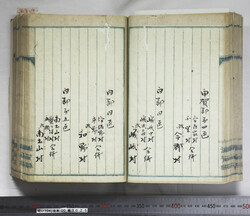 明い104000250014.jpg