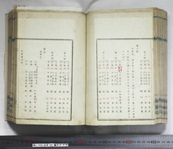 明い104000460005.jpg