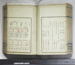 明い104000460009.jpg