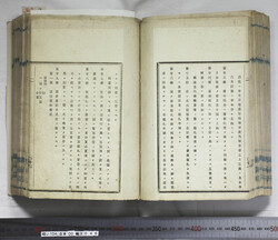 明い104000460015.jpg