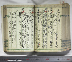 明い104001360005.jpg