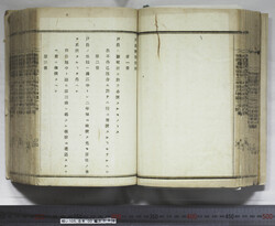 明い105000360002.jpg
