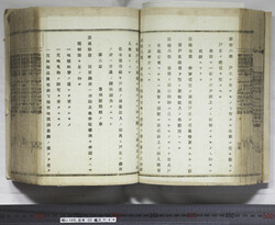 明い105000440006.jpg