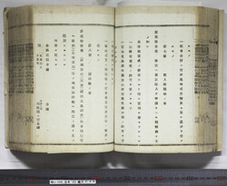 明い105000440007.jpg