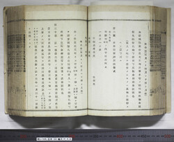 明い105000460018.jpg
