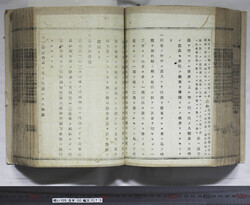 明い105000730003.jpg
