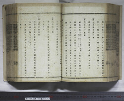 明い105000730010.jpg