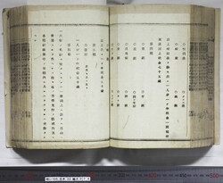明い105000740004.jpg