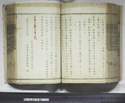 明い105001020006.jpg