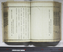 明い105001070002.jpg