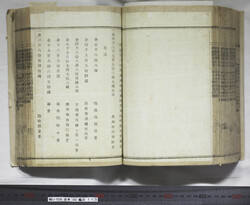 明い105001100002.jpg