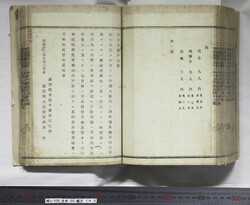 明い105001450002.jpg