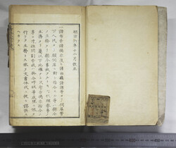 明い246010000003.jpg
